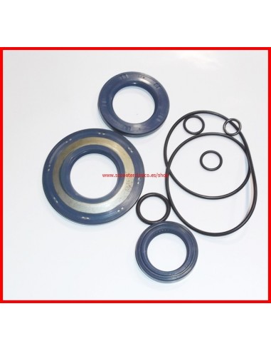 Kit retenes y t&oacute;ricas de Vespa 200 dn