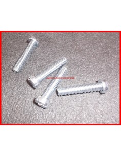 Tornillo cincado 5x30