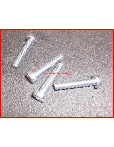 Tornillo cincado 5x30