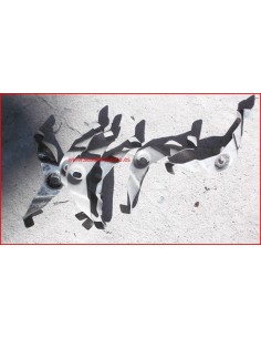 Chapa sujeta objetos