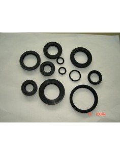 conjunto-retenes-del-motor-y-rueda-delantera