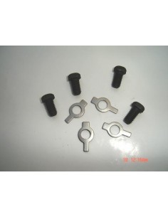 juego-de-tornillos-y-arandelas-del-plato