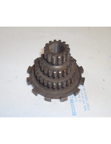 pinon-primario-nuevo