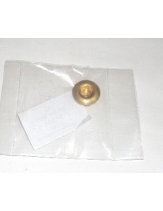 tornillo-motor-economico