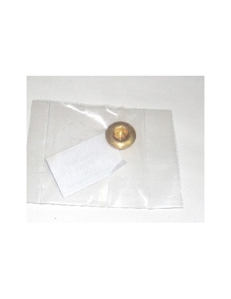 tornillo-motor-economico