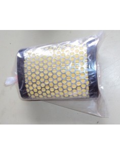 filtro-aire-corto-de-li-2