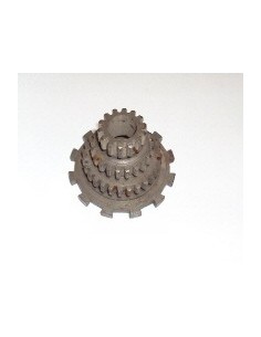 pinon-primario-nuevo