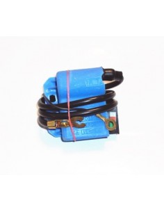 bobina-de-alta-electronica