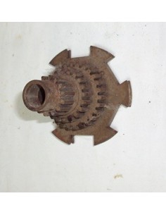 pinon-primario-nuevo-v125-14-20-27