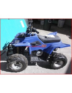 Quad 125