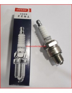 Bujia Denso TR22