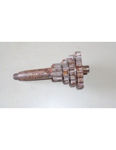 pinon-primario-de-vespa-primavera