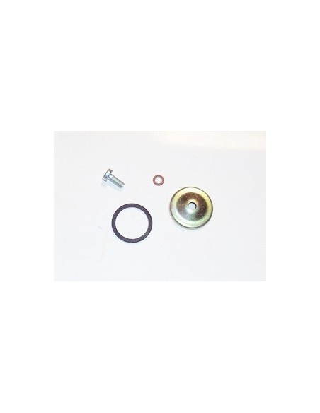 tapa-filtro-gasolina-del-carburadro