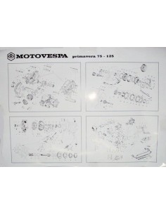 lamina-del-motor-vespa-primavera