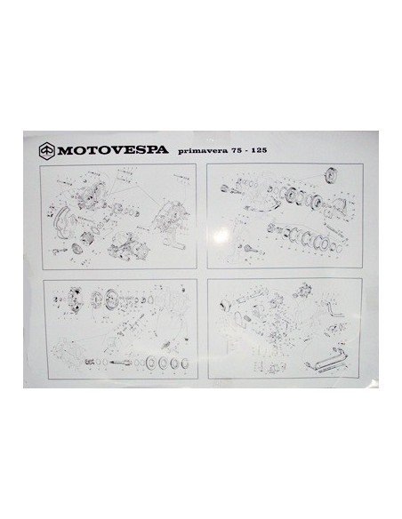 lamina-del-motor-vespa-primavera