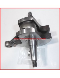 Cig&uuml;e&ntilde;al de Vespa 160 GT 2