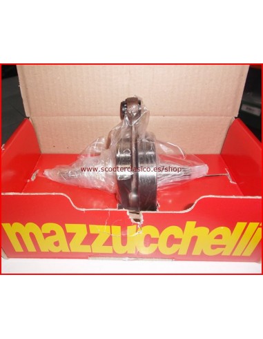 Cig&uuml;e&ntilde;al Vespa Primavera adelantado...