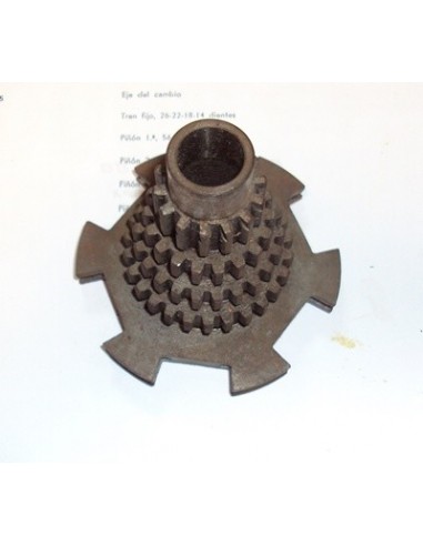 pinon-primario-nuevo-v125-11-18-22-26