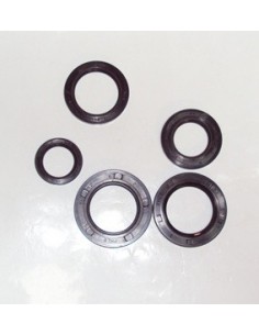 juego-retenes-del-motor