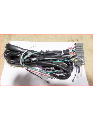 INSTALACION ELECTRICA VESPA PKS