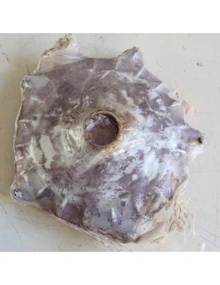 TAMBOR DELANTERO VESPA DN COMPLETO ORIGINAL