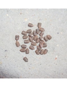 Tornillo fijacci&oacute;n casquillo guia direcci&oacute;n ORIGINAL