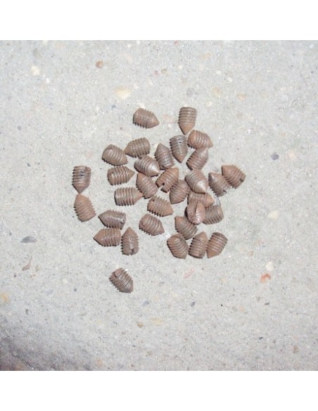 Tornillo fijacci&oacute;n casquillo guia direcci&oacute;n ORIGINAL