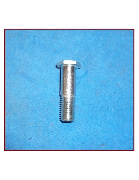 Tornillo brazo del motor ECONOMICO