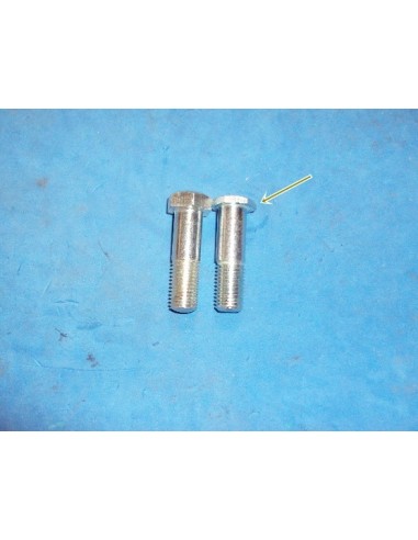 Tornillo brazo del motor ECONOMICO
