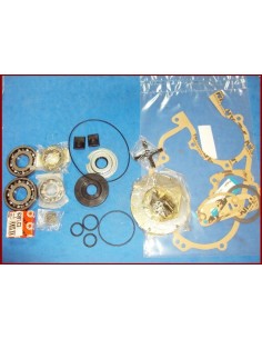 KIT REPARACION MOTOR V150