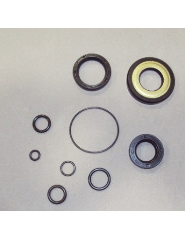 kit retenes y toricas Vespa Primavera