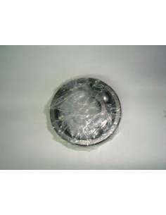 rodamiento-del-ciguenal-lado-plato