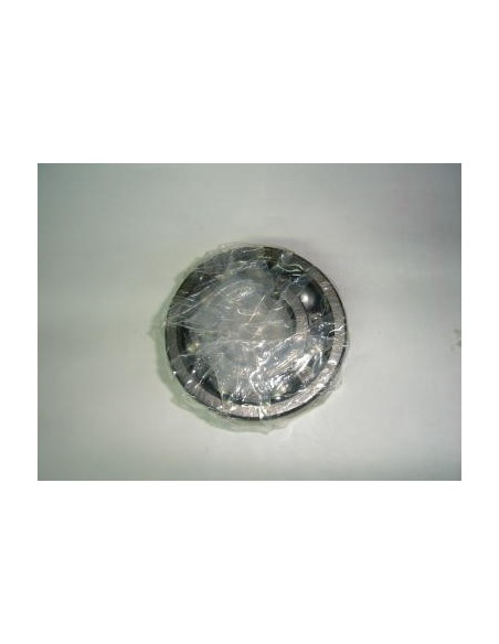 rodamiento-del-ciguenal-lado-plato