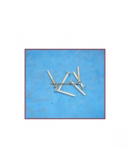 Tornillo del piloto intermitente delantero