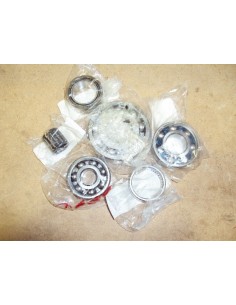 kit-rodamiento-motor-v200-ds-dn-iris