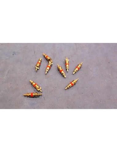 Ob&uacute;s v&aacute;lvula c&aacute;mara de aire