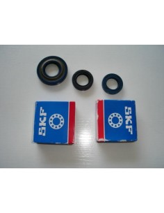 conjunto-rodamientos-y-retenes-del-motor