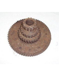 pinon-primario-con-elastico-nuevo