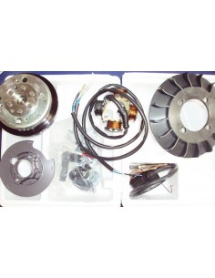 Encendido electr&oacute;nico Vespa Primavera POLINI