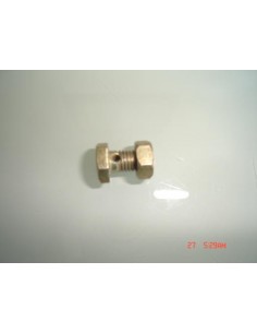 tornillo-y-tuerca-del-prisionero-delantero