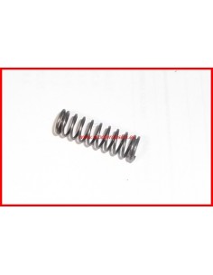  Muelle pletina sujecci&oacute;n cerradura