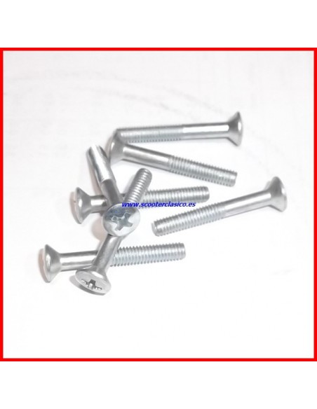 Tornillo del piloto intermitente delantero